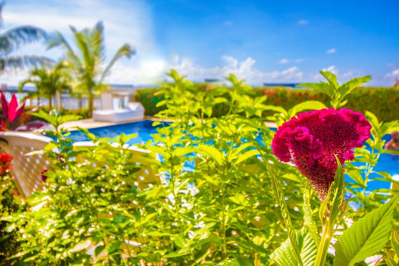 Hotel Aria Manzanillo Cartagena Exterior photo